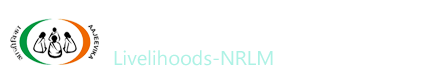 NGO Monitoring System